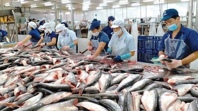 Doanh nghiệp cần tuân thủ luật, tránh rủi ro khi xuất khẩu sang Hoa Kỳ