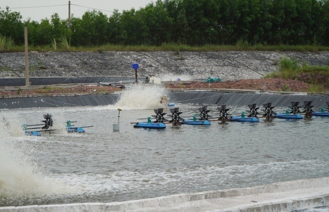 Quảng Ninh với chiến lược phát triển nông nghiệp công nghệ cao