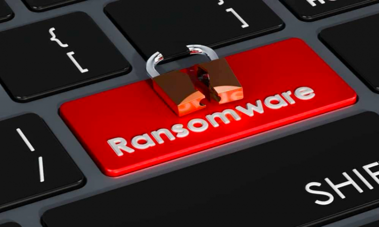 Doanh nghiệp cảnh báo bị tấn công mã độc ransomware
