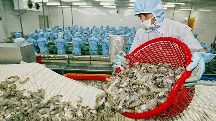 Nhiều ngân hàng vào cuộc, kích tín dụng ưu đãi ngành nông, lâm, thuỷ sản lên 100 nghìn tỷ đồng