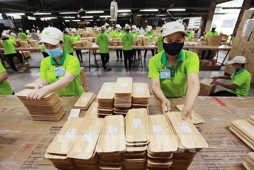 Doanh nghiệp tận dụng 