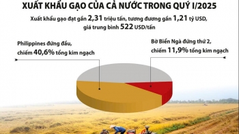 Dự báo giá xuất khẩu gạo Việt sớm khởi sắc trở lại