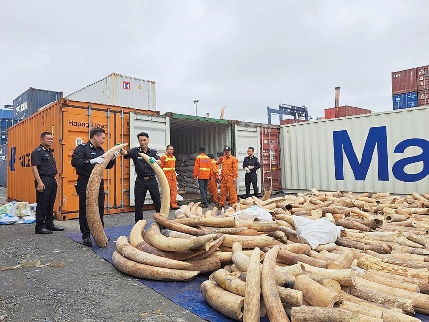 Triển khai quyết liệt các biện pháp chống buôn lậu động vật, thực vật hoang dã