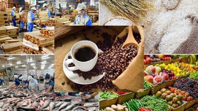 Thị trường hàng hóa: Nhóm nông sản phục hồi trở lại