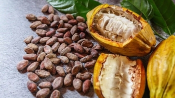 Thị trường hàng hóa: Giá cà phê Arabica có phiên phục hồi nhẹ, nhóm kim loại có tín hiệu khởi sắc