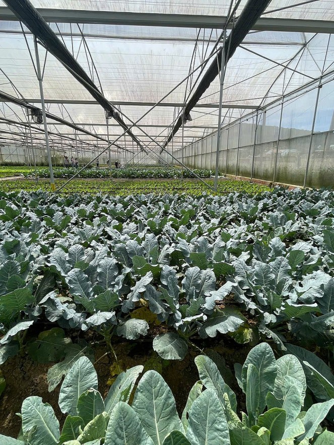 Kinh tế tuần hoàn: Bệ phóng cho sản xuất xanh tại Việt Nam trong cuộc đua toàn cầu Kinh tế tuần hoàn: Bệ phóng cho sản xuất xanh tại Việt Nam trong cuộc đua toàn cầu