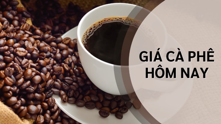 Ngày 9/5: Giá cà phê tiếp đà giảm, hồ tiêu neo ở mức cao