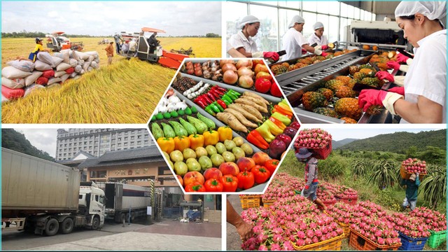 Viet Nam safeguards agricultural production, export amid global trade uncertainties