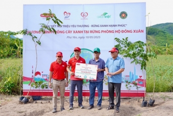 Dai-ichi Life Việt Nam triển khai trồng hơn 10.000 cây xanh tại Rừng phòng hộ Đồng Xuân, tỉnh Phú Yên