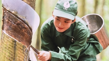Ngày 13/5: Giá cao su tăng ở Trung Quốc và Nhật Bản