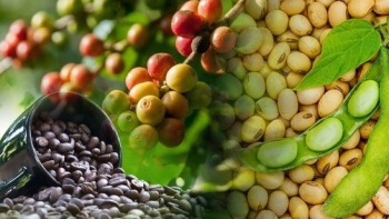 Thị trường hàng hóa: Tâm lý lạc quan lan tỏa trên thị trường hàng hóa thế giới
