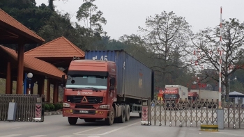 Hải quan chống chuyển tải bất hợp pháp, gian lận xuất xứ