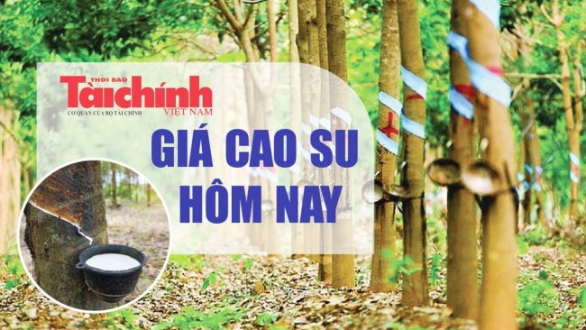 Ngày 14/5: Giá cao su tại Nhật Bản tiếp đà tăng, trong nước ổn định
