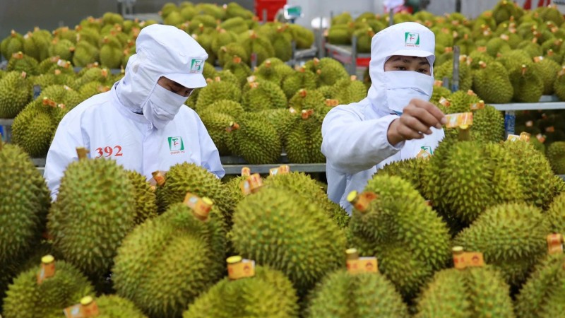 Nghị quyết 68-NQ/TW: Lá chắn pháp lý, bệ phóng cho doanh nghiệp tư nhân