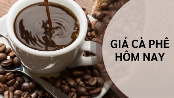 Ngày 17/5: Giá cà phê, giá tiêu trong nước tăng nhẹ, thế giới giảm