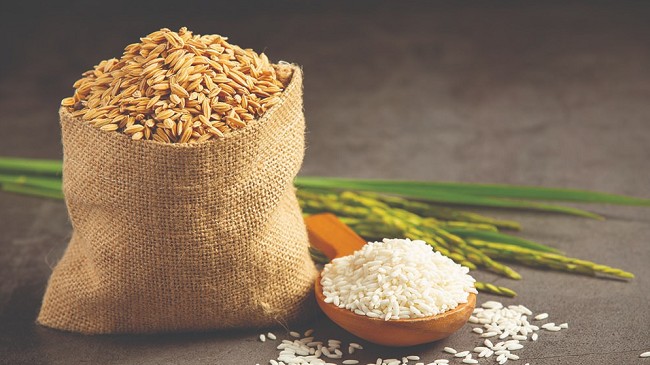 Ngày 18/5: Gạo giữ giá, lúa tươi giảm nhẹ