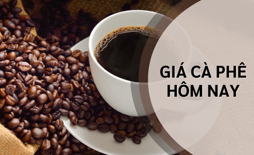 Ngày 2/6: Giá cà phê 117.300 đồng/kg, hồ tiêu neo ở mức cao