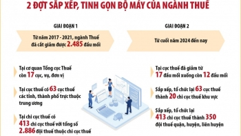 Giảm đầu mối, tăng hiệu quả hoạt động sau sắp xếp tinh gọn bộ máy ngành Thuế