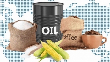 Thị trường hàng hóa: Sắc đỏ đã quay lại thị trường