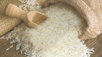 Ngày 12/6: Giá gạo nguyên liệu tại Đồng bằng sông Cửu Long tiếp tục giảm