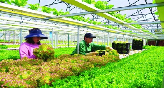 Bình Thuận kỳ vọng sẽ trở thành trung tâm kinh tế biển sau sáp nhập với Lâm Đồng, Đắk Nông