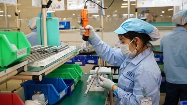 Tăng cường chế tài xử lý với hành vi chậm đóng và trốn đóng bảo hiểm xã hội