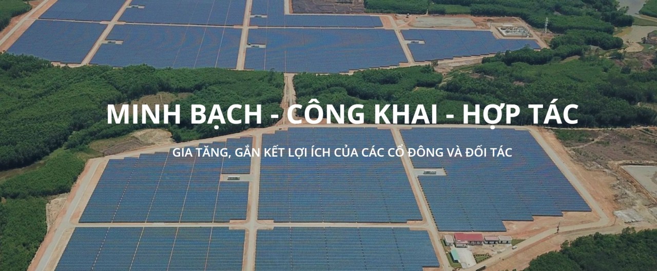Công bố thông tin sai lệch, Công ty Năng lượng và Bất động sản Trường Thành bị xử phạt