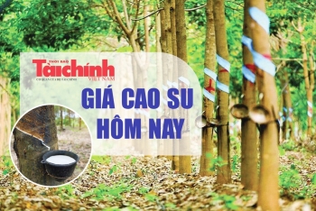 Ngày 27/6: Giá cao su tại Thái Lan và Trung Quốc giảm