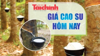 Ngày 30/6: Giá cao su trên các sàn giao dịch chủ chốt diễn biến trái chiều