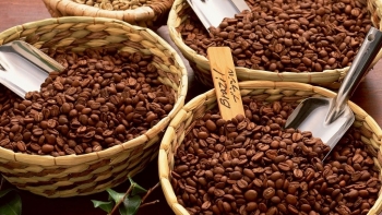 Ngày 30/6: Giá cà phê ở mức 94.100 đồng/kg, hồ tiêu neo ngưỡng cao