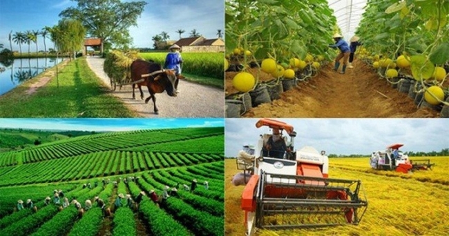 Gỡ khó trong Tổng điều tra nông thôn, nông nghiệp năm 2025 trong bối cảnh thực hiện sắp xếp địa giới hành chính