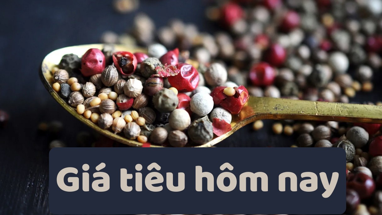 Ngày 1/7: Giá tiêu lấy lại đà tăng cao, cà phê tiếp đà leo dốc