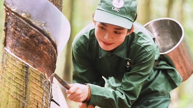Ngày 2/7: Giá cao su tại Nhật Bản đạt đỉnh, trong nước kéo dài xu hướng đi ngang