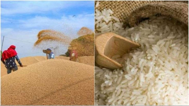 Thị trường hàng hóa: Giá gạo Thái Lan giảm do đồng baht mạnh lên