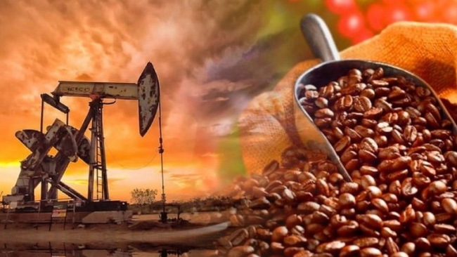 Thị trường hàng hóa: Năng lượng đã quay đầu phục hồi tích cực