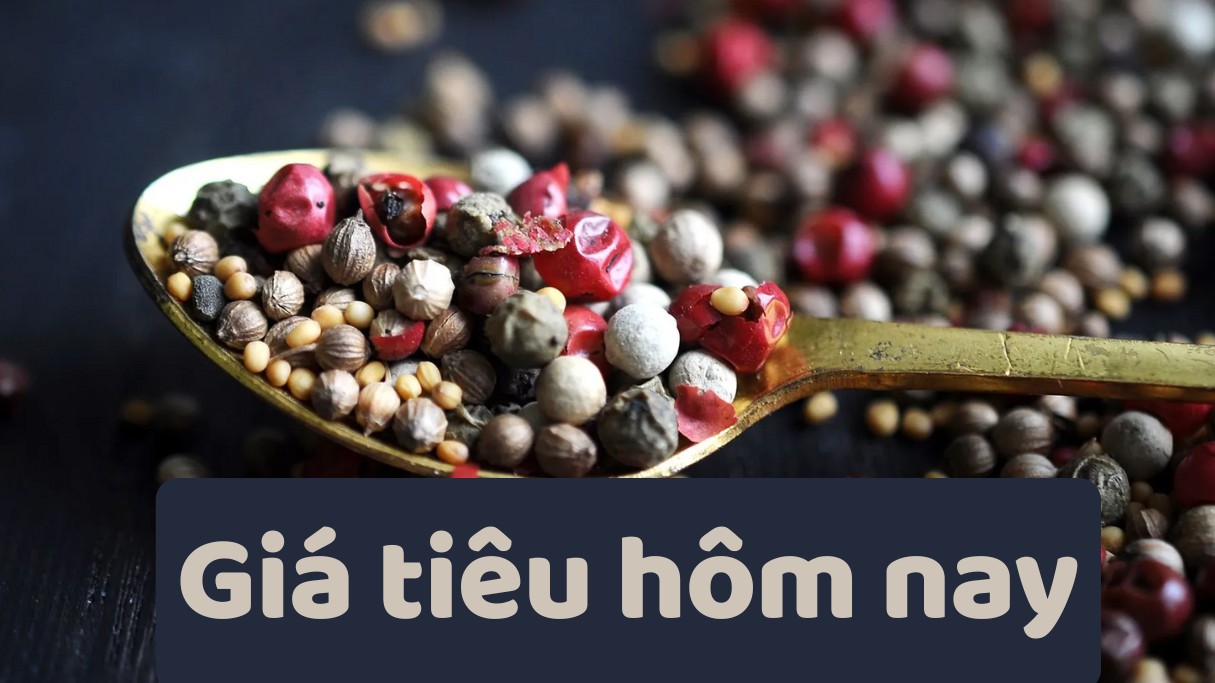 Ngày 11/7: Giá cà phê giảm trở lại, hồ tiêu ổn định ở ngưỡng cao