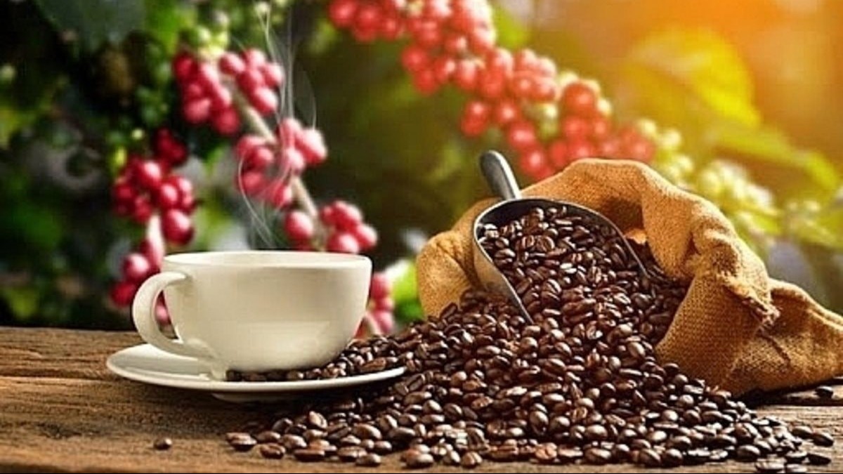 Ngày 12/7: Giá cà phê và hồ tiêu đồng loạt giảm