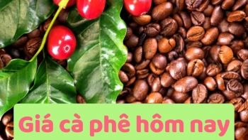 Ngày 17/7: Giá cà phê đảo chiều giảm mạnh, hồ tiêu neo ở mức 139.200 đồng/kg