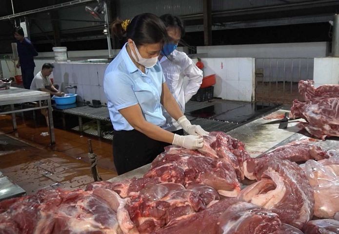 Kiểm soát giết mổ động vật chưa đạt yêu cầu, dẫn đến nguy cơ dịch bệnh lây lan cao