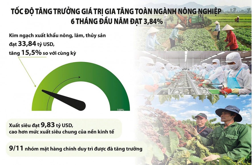 Xuất khẩu nông sản tìm dư địa tăng trưởng