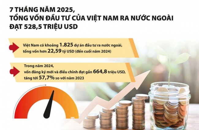 dau tu ra nuoc ngoai canh tay noi dai cua nen kinh te tu chu