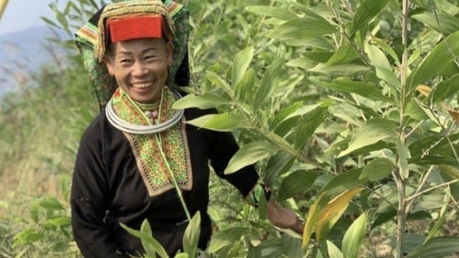 hoi phu nu lang son giup hoi vien phat trien san xuat giam ngheo ben vung