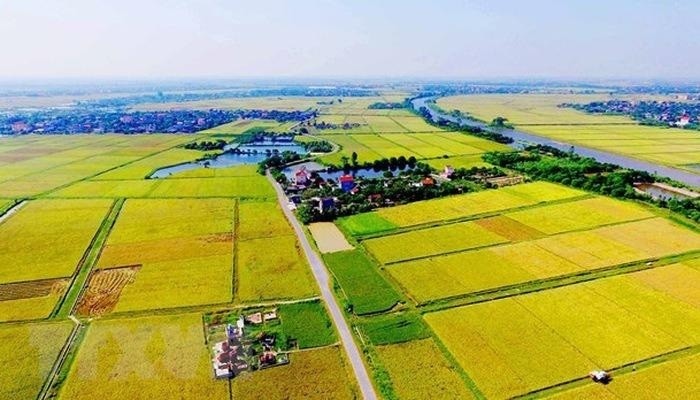 Bảo đảm quyền quyết định giá đất của Nhà nước