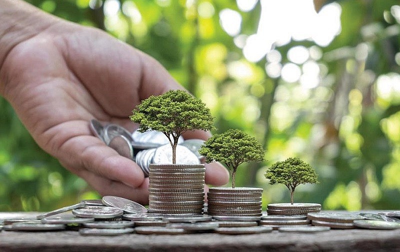 Bài 2: Thực tiễn triển khai vốn khí hậu tại Việt Nam
