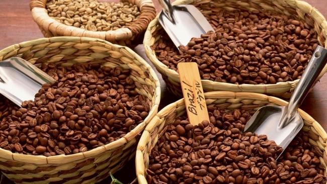 Ngày 11/9: Giá cà phê quay đầu giảm, hồ tiêu cao nhất ở mức 153.000 đồng/kg