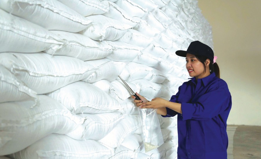 Ngành Dự trữ Nhà nước triển khai xuất cấp gạo hỗ trợ học sinh, học viên