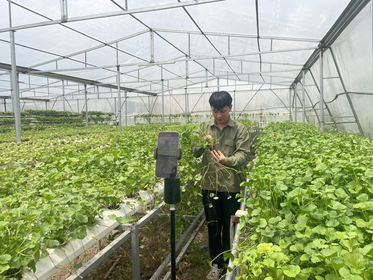 Quảng Ninh bứt phá với thương mại điện tử, tạo đà phát triển kinh tế số