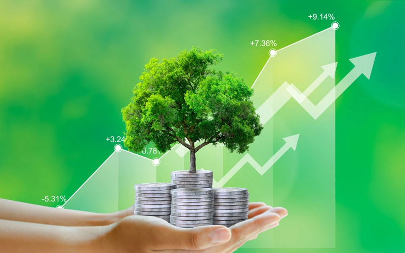 Doanh nghiệp tư nhân, hộ kinh doanh có thể vay vốn xanh rẻ hơn 2%/năm đến 2030