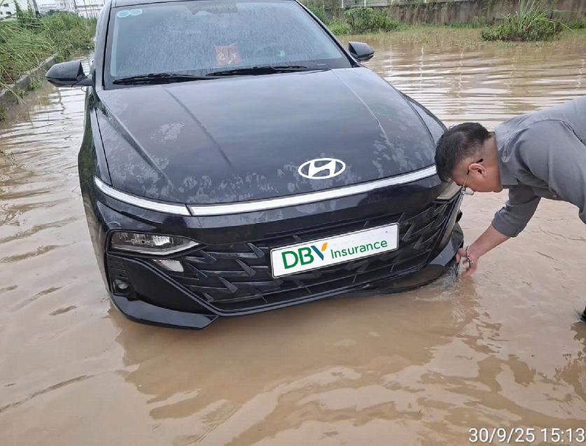 Tập đoàn Bảo hiểm DBV tiếp nhận 226 vụ tổn thất do bão số 10 Tập đoàn Bảo hiểm DBV tiếp nhận 226 vụ tổn thất do bão số 10