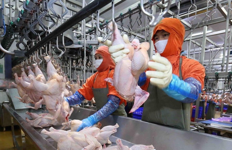 Cơ hội tăng trưởng trong “làn sóng rủi ro”: Việt Nam cần gì để bứt tốc bền vững?